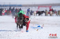（寻味中华｜竞技）草原马术盛宴演绎极致“人马合一”